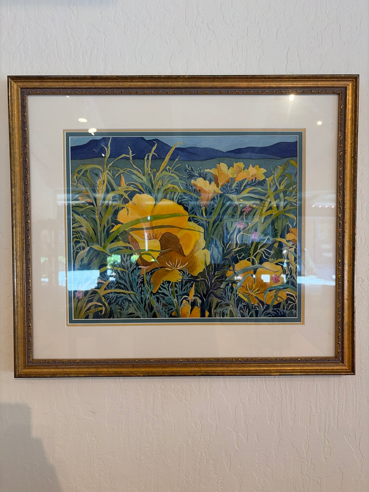 Gladys Janoff California Poppies Watercolor